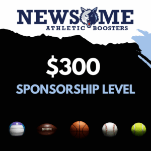 $300 Sponsorship